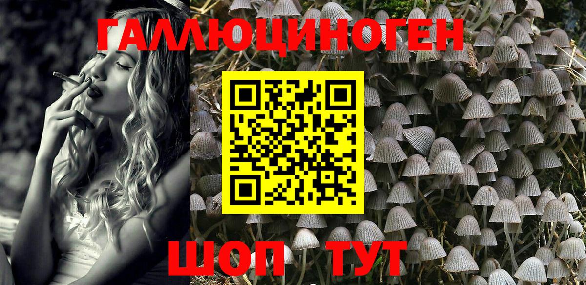 Галлюциногенные грибы MAGIC MUSHROOMS  Вход с VPN  Дзержинск  Галлюциногенные грибы MAGIC MUSHROOMS 